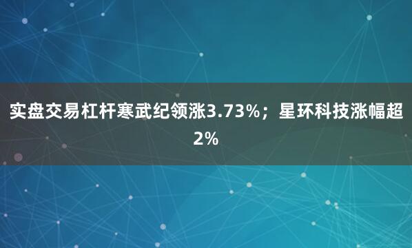 实盘交易杠杆寒武纪领涨3.73%；星环科技涨幅超2%