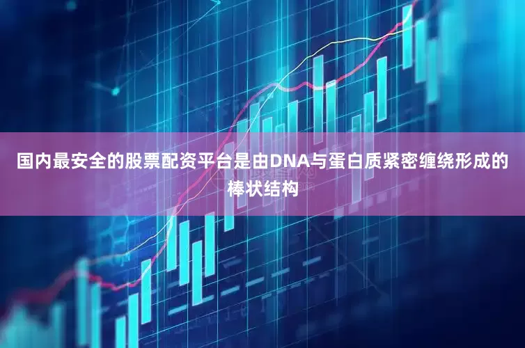 国内最安全的股票配资平台是由DNA与蛋白质紧密缠绕形成的棒状结构