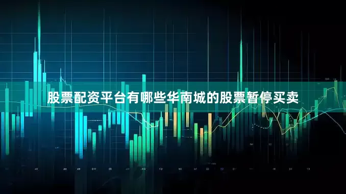 股票配资平台有哪些华南城的股票暂停买卖