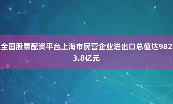 全国股票配资平台上海市民营企业进出口总值达9823.8亿元